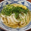 Marugame Seimen - かけうどん(390円)