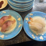 Kaiten Sushi Sakae - 