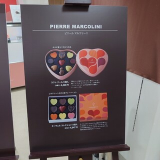 h PIERRE MARCOLINI - ショコラコレクション