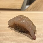 Sushi Yutaka - 