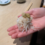 菊鮨 - 鳥取の松葉蟹