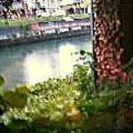 ほとり - 窓からの運河　紅葉してましたピンボケですが雰囲気だけでも分かってもらえれば