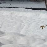 くつきそば 永昌庵 - 