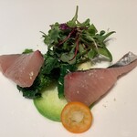 luogo - 鳥取 鰆 大根 菜の花