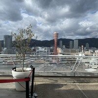 桃花春(神戸メリケンパークオリエンタルホテル) -  桃花春(神戸メリケンパークオリエンタルホテル) -