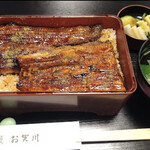 Unagi Ogawa - 