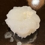 登喜和鮨 - あおりいか