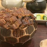 炭焼きうなぎ・かしわ 登河 池下店 - 