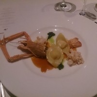 XEX TOKYO / Salvatore Cuomo Bros. - 