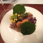 くりゑンテkawabata - 蛍烏賊 カリフラワーのムース