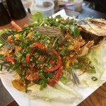 ゴールデン バガン - 