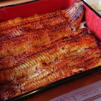 鰻割烹 伊豆栄 本店 - 敷き詰めたいやん。