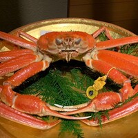 越前がに・旬のお料理 らでん - 