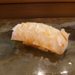 京極寿司 - ◯アオリイカ（サスエ前田）
      隠し包丁を入れて湯引きしてある　との説明
      
      イカのとろける旨味と
      煮切り醤油が味わいを引き立て美味しい味わい
      
      余韻が良くてガリを食べるのが勿体ないと思えるなあ