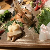 すし屋のさい藤 札幌本店 - 刺身盛り合わせ