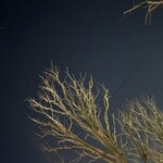 ららららーめんや - 