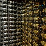 THE PIG ＆ THE LADY - 