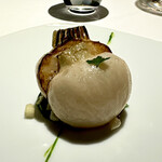 レフェルヴェソンス - 