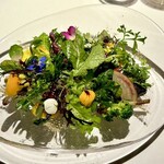 レフェルヴェソンス - 