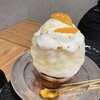 お茶と酒 たすき 新風館