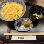 かね正 - きんし丼