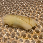 寿司 蒼 - アオリイカ