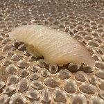 寿司 蒼 - ヒラスズキ