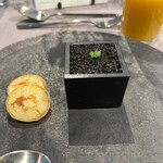 トランクホテル - 