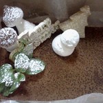 イル ビニェ - 2013.12.24再訪　予約限定特製ティラミス