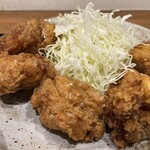 Karaage Semmonten Torikko - 唐揚げの味は選べます（これはガーリックカレー）