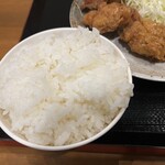 Karaage Semmonten Torikko - ご飯　大盛り無料ですが、並でも多めです。（これは並盛）