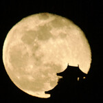 Sharaku - 最後に長良川堤防より岐阜城と月の撮影に　お城ライトアップが減登(灯りイベントの為)なのでシルエット