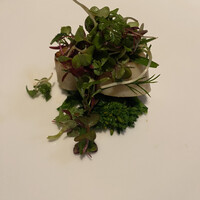 Hills House Dining 33 - 