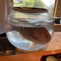 日本料理 別府 廣門 - 