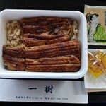 Unagi Kazuki - 