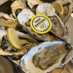 FAST OYSTERS - 