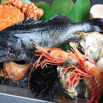 鮨竜 - ネタは鮨竜専属の仲買人により、北海道の台所「札幌市中央卸売市場」から毎日直接買い付け