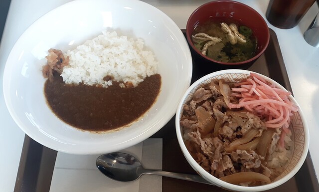 すき家 酒田若竹店 &ndash; 手軽に楽しむ本格牛丼と豊富メニュー