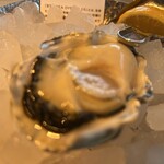 8TH SEA OYSTER Bar - 