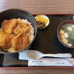 藤屋食堂 - 料理写真:ソースカツ丼大盛り