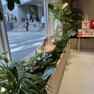 LOTTE DO Cacao STORE_2