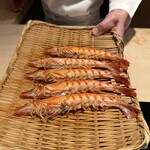 恵比寿 鮨 ふじまさ - 