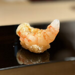 恵比寿 鮨 ふじまさ - 