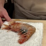 恵比寿 鮨 ふじまさ - 