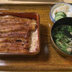 Unagi Yasukawa - 