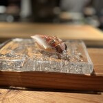 Iito Sushi Washoku - 