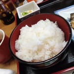 魚料理 かねやす - ご飯は仁多米〜大盛りですって