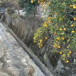 長文屋 - 橙がお見事