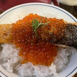 しゃけ小島 - いくらがキラキラ