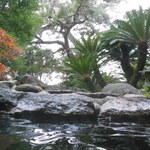 熱海　大観荘 - 熱海の街一望です